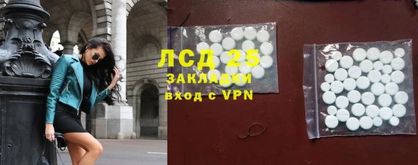 индика Алексин