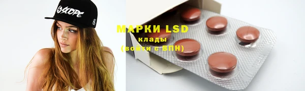 индика Алексин
