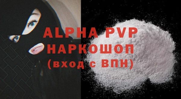 индика Алексин