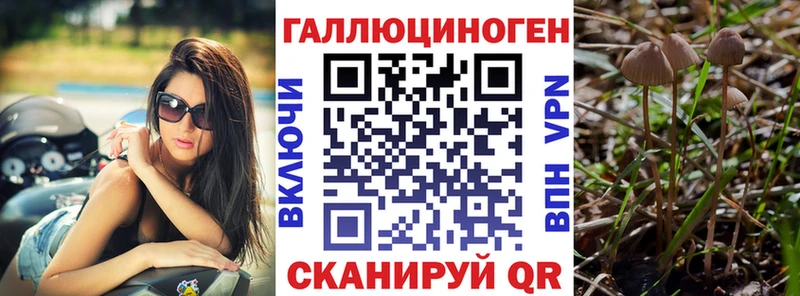 Галлюциногенные грибы GOLDEN TEACHER  Гаджиево 